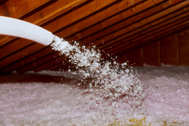 Best Insulation Maintenance and Repair in Verona, WI
