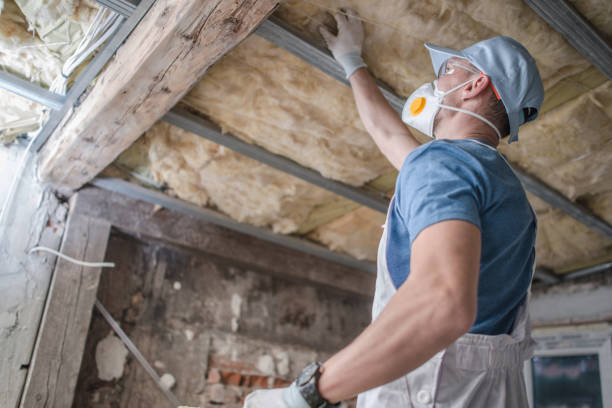 Best Geographic-Specific Insulation Services in Verona, WI
