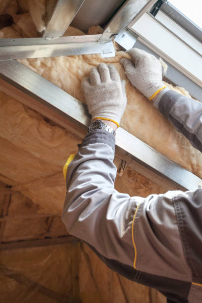 Professional Insulation Contractor in Verona, WI