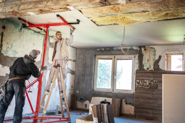 Best Specialized Insulation Services in Verona, WI